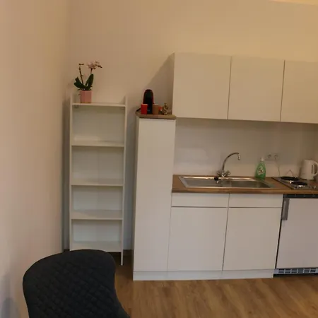 River View Apartment Wohnen Am Fluss Linz Exterior photo