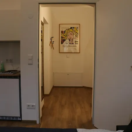 River View Apartment Wohnen Am Fluss Linz Exterior photo